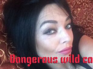 Dangerous_wild_cat