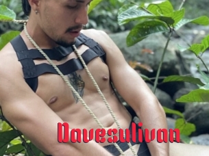 Davesulivan