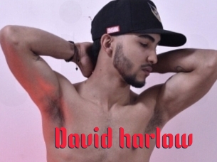 david_harlow Video Extrait