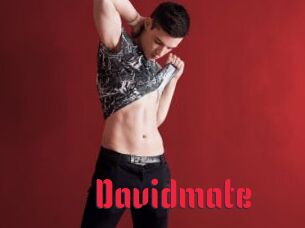 Davidmate