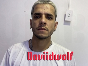 Daviidwolf