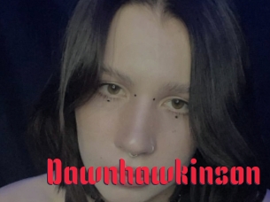 Dawnhawkinson