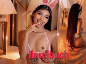 demibush Video Extrait