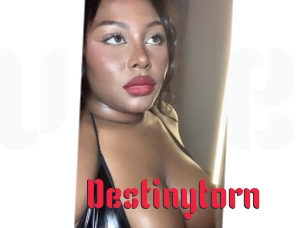 destinytorn Video Extrait