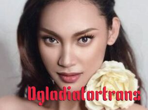 Dgladiatortrans