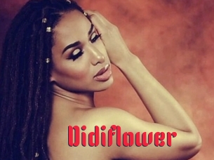 Didiflower