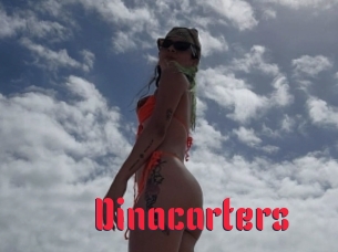 Dinacarters