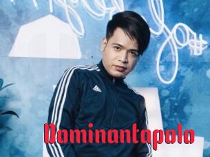 Dominantapolo