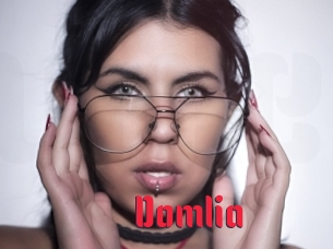 Domlia