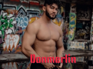 Donmerlin
