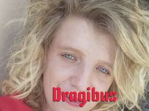 Dragibus