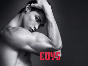 EDYS