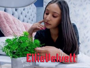 EllieVelvett