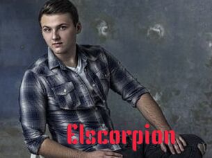 Elscorpion