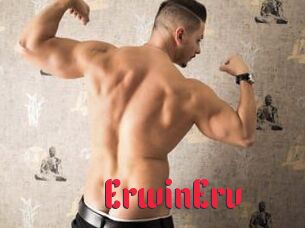 ErwinErv