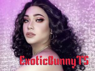 ExoticBunnyTS