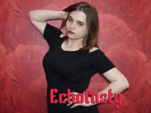 Echotasty