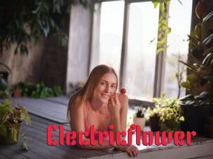 Electricflower