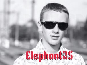 Elephant25