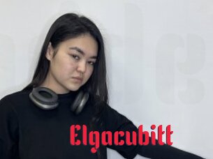 Elgacubitt