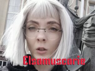 Elsamuscarie
