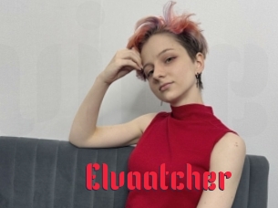 Elvaatcher
