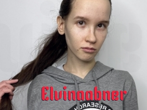 Elvinaabner