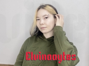 Elvinaaytes
