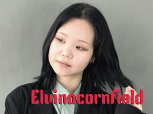 Elvinacornfield