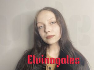 Elvinagales