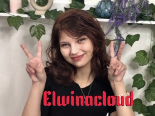 Elwinacloud