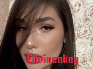 Elwineakey