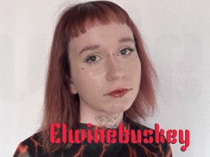 Elwinebuskey