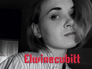 Elwinecubitt