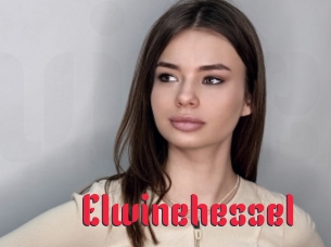 Elwinehessel