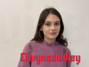 Elwynadudley