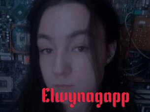 Elwynagapp
