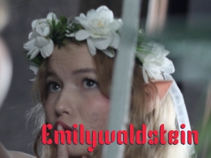 Emilywaldstein