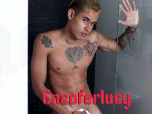 Enzoferlucy