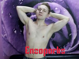 Enzoparks