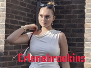 Erlenebrookins
