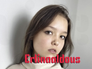 Erlinaaldous