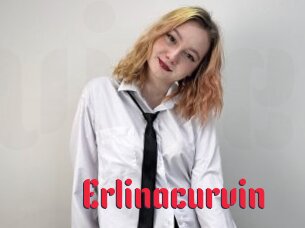 Erlinacurvin