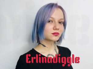 Erlinadiggle