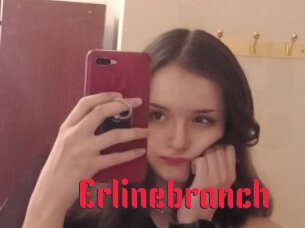 Erlinebranch