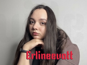 Erlineevatt