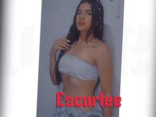 Escarlee