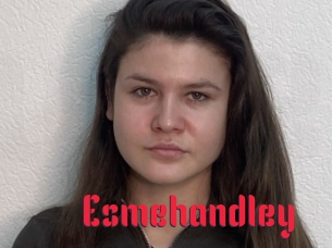 Esmehandley