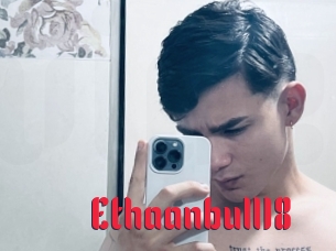 Ethaanbull18