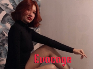 Evacage